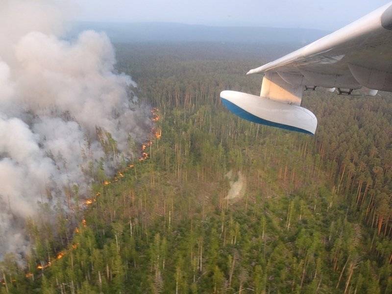 Лес рубят – искры летят. Почему каждый год горит тайга в Сибири?