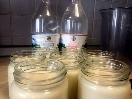 В Башкирии рассмотрят возможность восстановления работы Чекмагушевского молочного завода