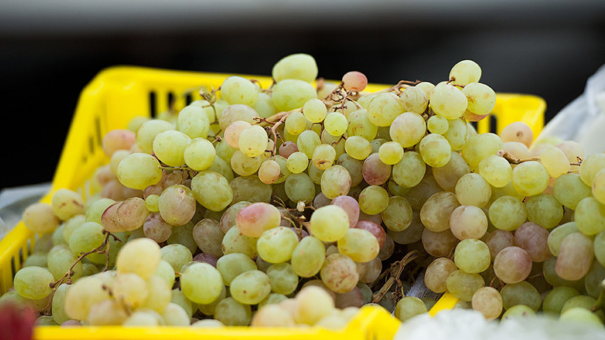 В Молдове готовы собрать богатый урожай столового винограда