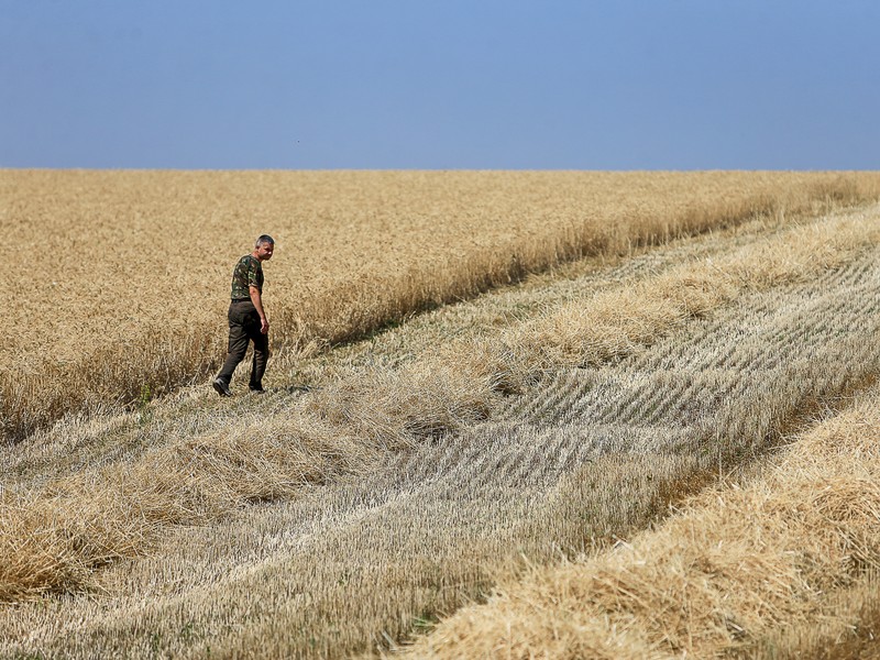 Зеленский решил отменить мораторий на продажу земель на Украине