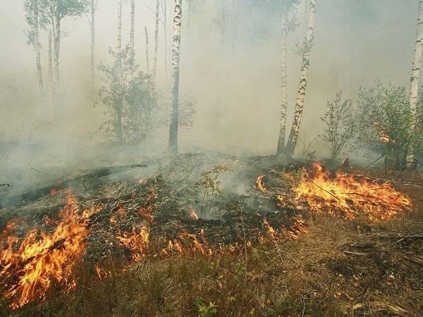 Медведев распорядится выделить 6 млрд рублей на тушение сибирских пожаров