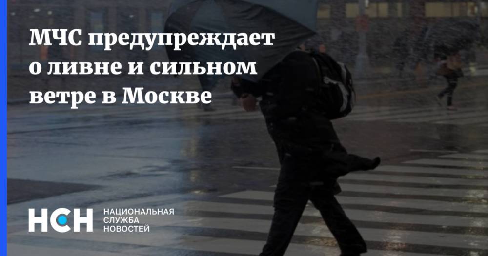 МЧС предупреждает о ливне и сильном ветре в Москве