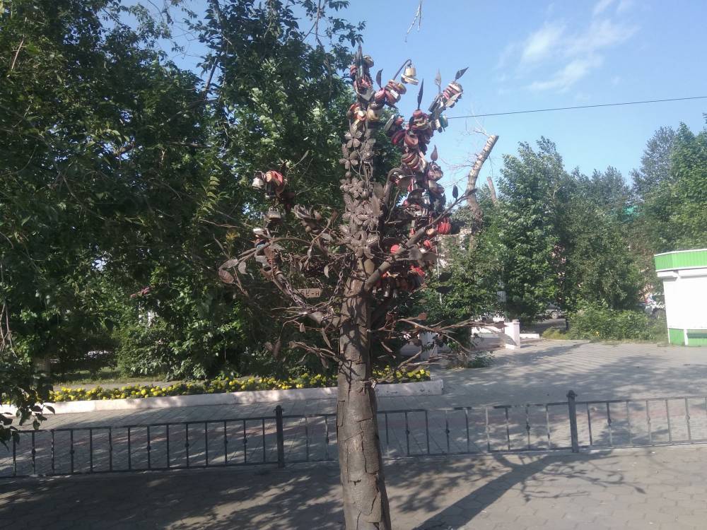 В Улан-Удэ вернулась на своё место упавшая ветка с «дерева любви»