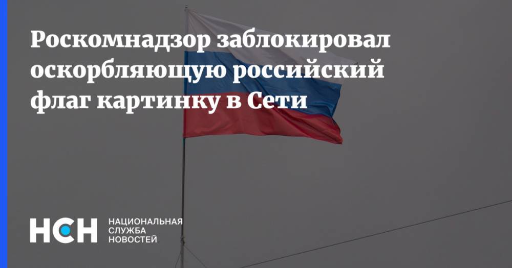 Роскомнадзор заблокировал оскорбляющую российский флаг картинку в Сети