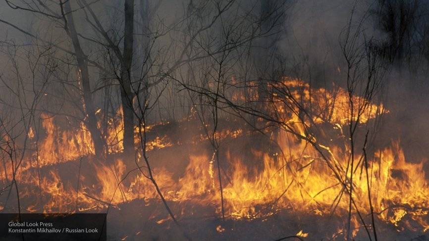 В Сибирь направлено усиление для ликвидации лесных пожаров