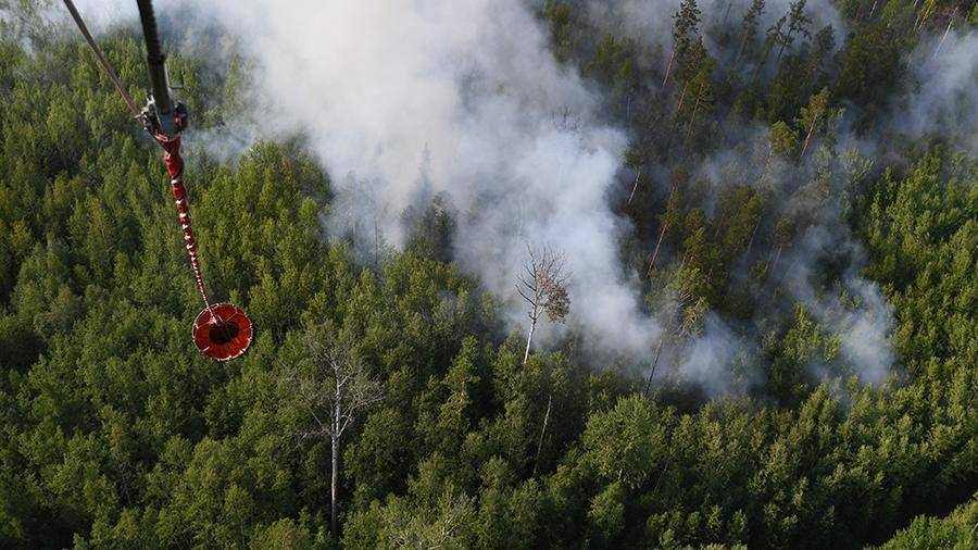 На тушение лесных пожаров выделят 6 млрд рублей из резерва