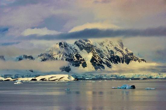 В России 2020 год объявят Годом Антарктиды