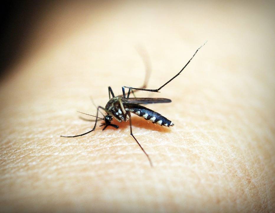 Эпидемия малярии в Бурунди - заражена половина населения - Cursorinfo: главные новости Израиля - cursorinfo.co.il - Конго - Бурунди