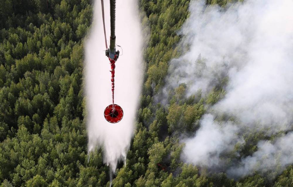 Правительство выделит из резервов почти 6 млрд рублей на тушение лесных пожаров