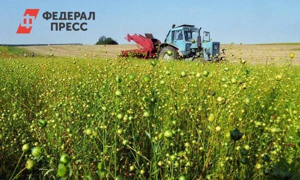 Бюджет Нижегородской области компенсирует аграриям часть затрат | Нижегородская область | ФедералПресс
