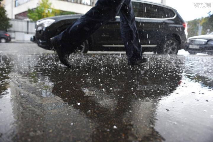 МЧС предупредило москвичей о сильном дожде и ветре