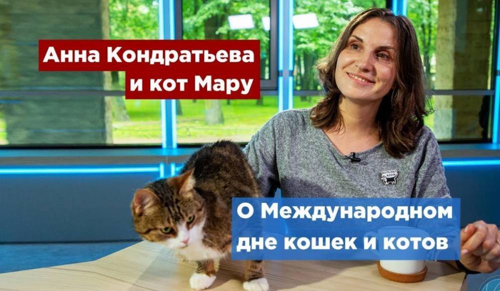 Петербург празднует Всемирный день кошек