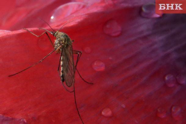 Стала известна самая «вкусная» группа крови для комаров