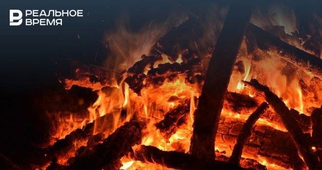 Правительство выделит на тушение пожаров в Сибири 6 млрд рублей