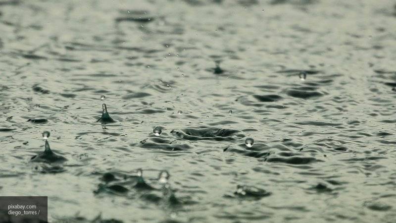 Специалисты предупредили жителей Подмосковья о дождях и грозах