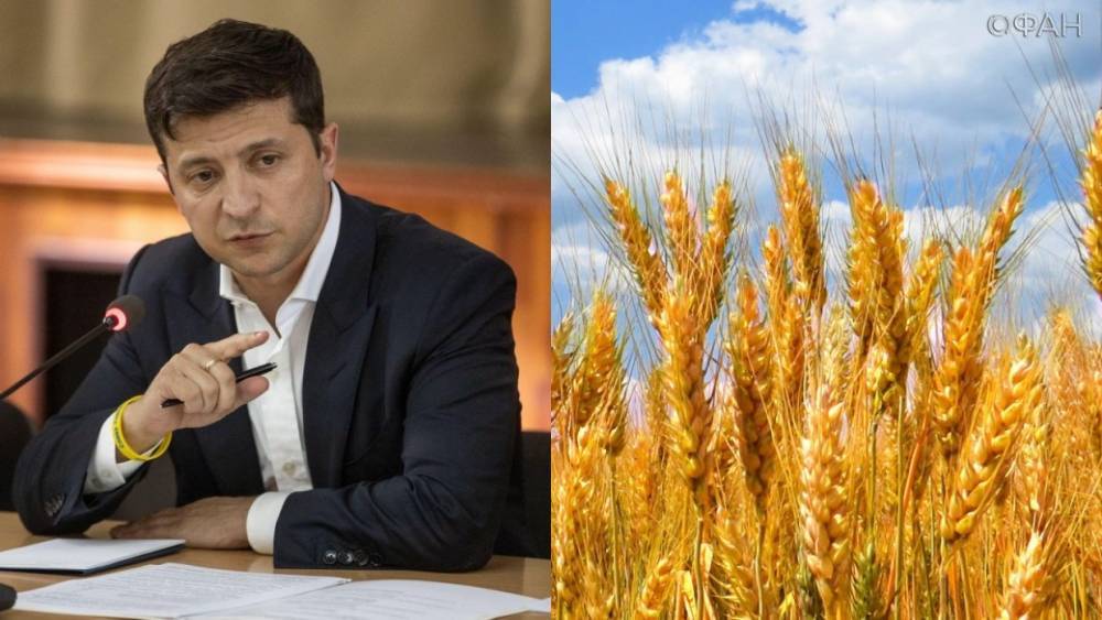 Эксперт рассказал, чем обернется земельная реформа Зеленского для Украины