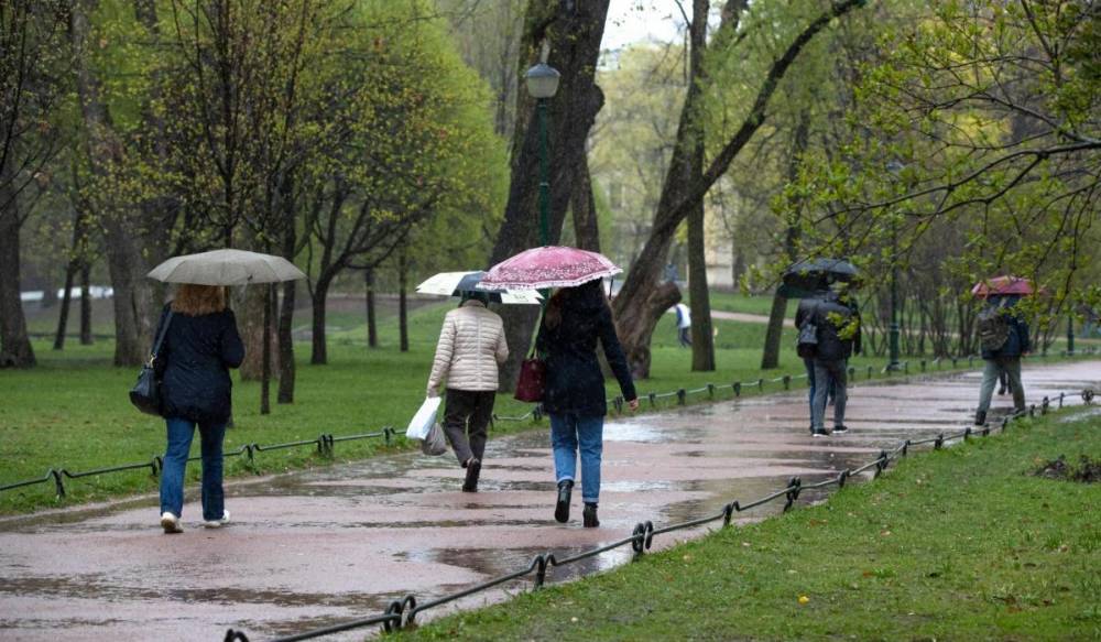 Рабочая неделя в Петербурге завершится дождями