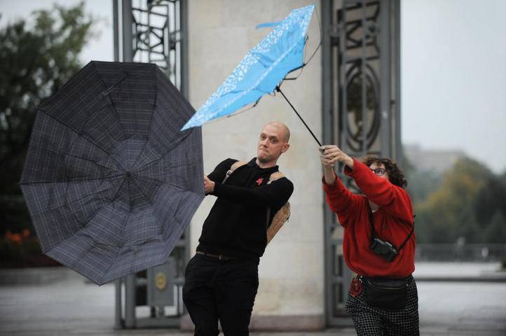 МЧС предупредило москвичей о сильном порывистом ветре 9 августа