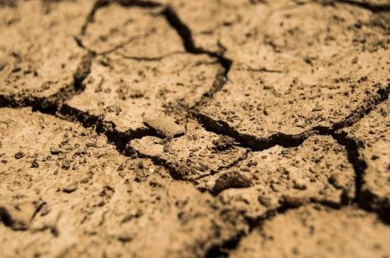 В Забайкалье ввели режим ЧС из-за засухи
