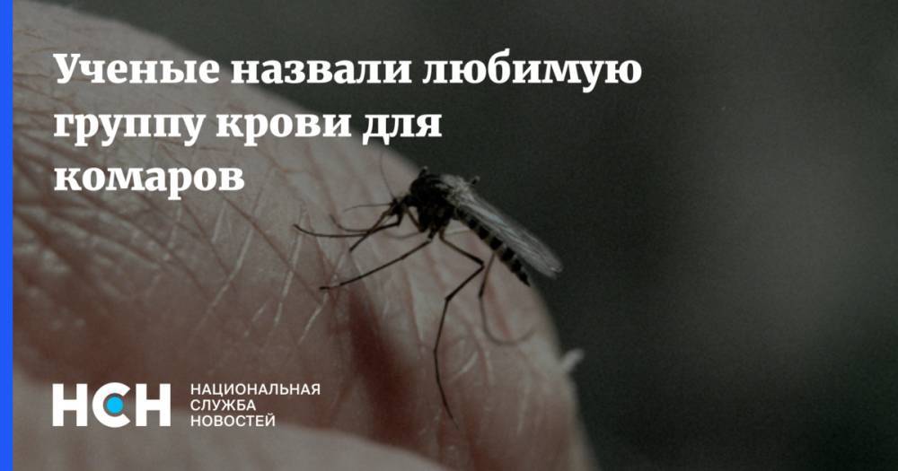 Ученые назвали любимую группу крови для комаров