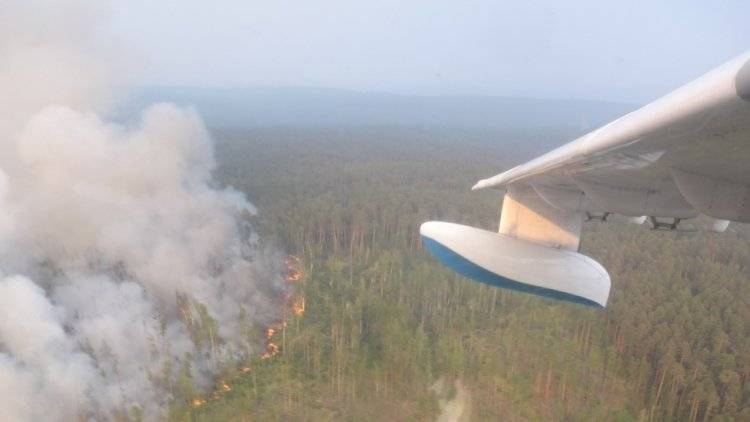 Авиалесоохрана заявила о ликвидации 43 лесных пожаров за прошедшие сутки