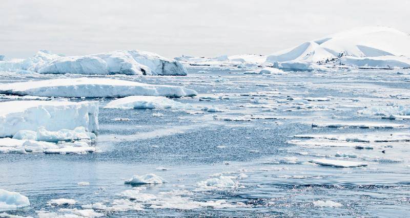 Российские мореплаватели совершат кругосветную экспедицию в честь 200-летия Антарктиды