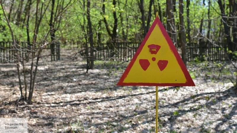 Британско-украинские исследователи создали водку на основе сырья из Чернобыля