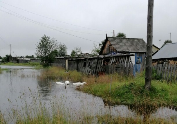В Дутово после дождей подтопило несколько домов