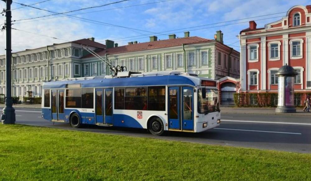 Петербуржцы выберут цвет общественного транспорта онлайн-голосованием