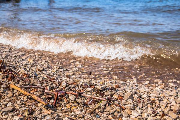 Жители Находки очистили пляж от мусора