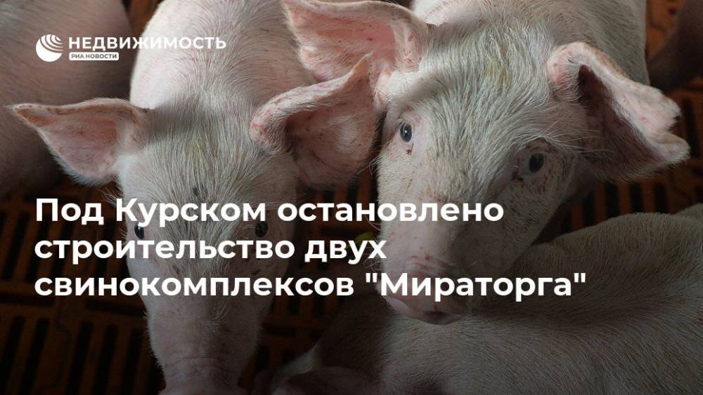Под Курском остановлено строительство двух свинокомплексов "Мираторга"