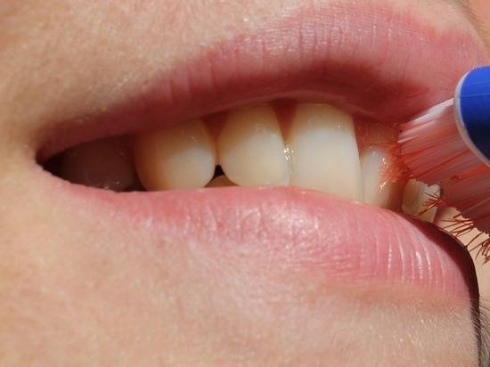 Учёные выяснили, как заставить зубы расти заново