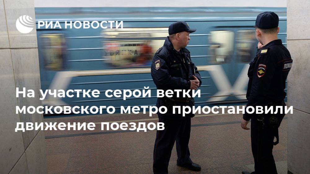 На участке серой ветки московского метро приостановили движение поездов