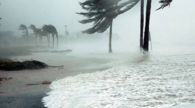 Ураган «Дориан» достиг катастрофических масштабов и скорости 257 км в час — Происшествия, Новости США