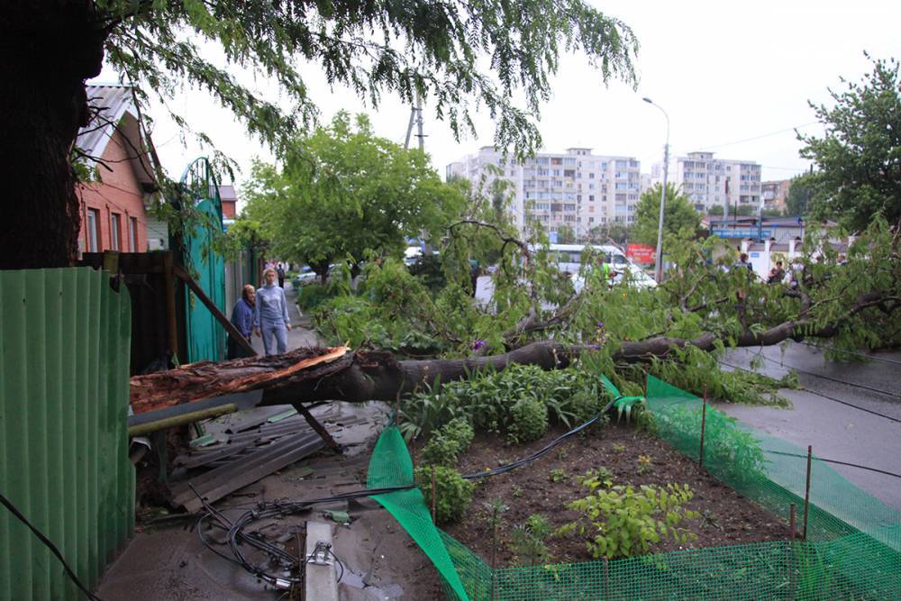 Житель Сызрани помог придавленной деревом пенсионерке