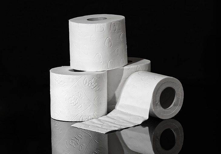 Медики признали туалетную бумагу опасной для здоровья — Информационное Агентство "365 дней"