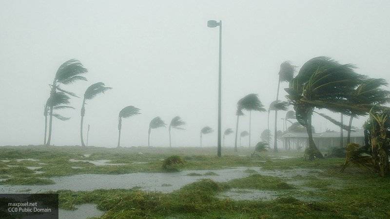 Видео урагана "Дориан", достигшего наивысшей категории, появилось в Сети