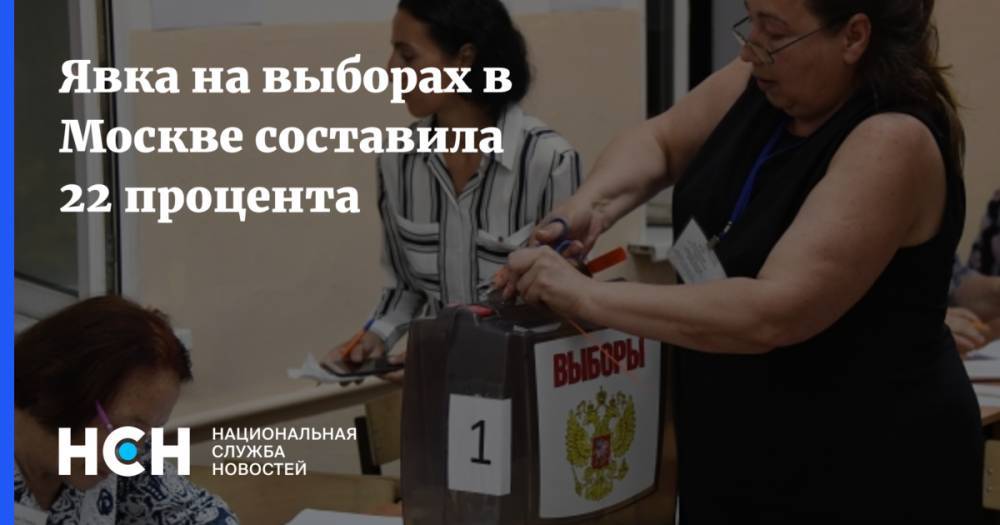 Явка на выборах в Москве составила 22 процента