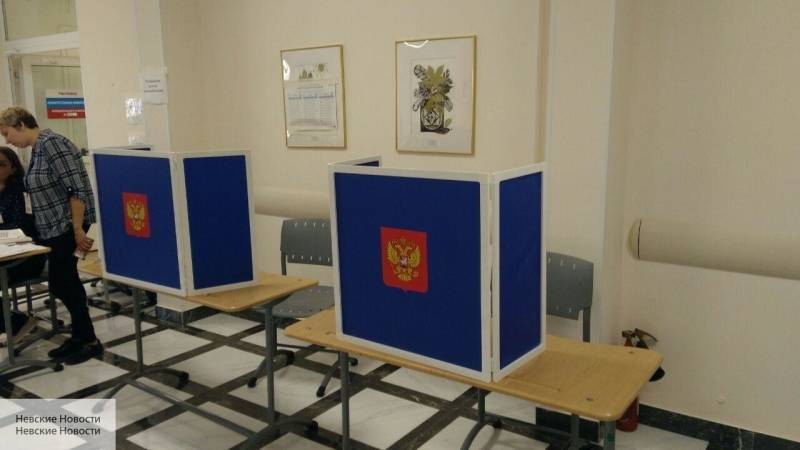 «Либералы» открыто пытались превратить выборы в Петербурге в вакханалию – Рябцева