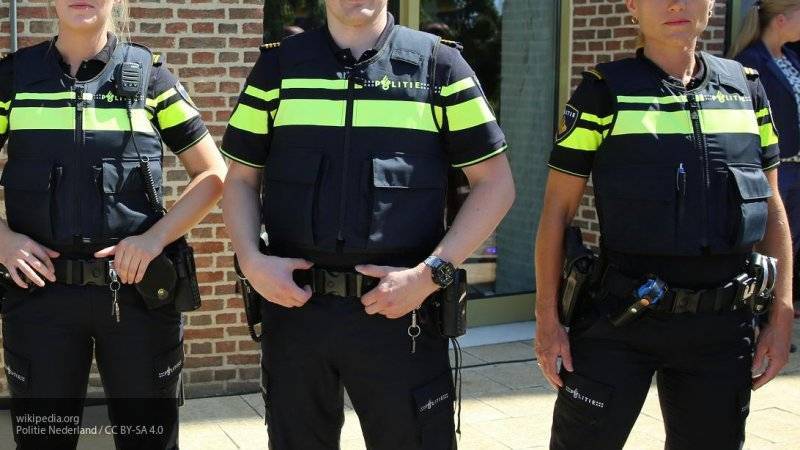 Три человека погибли и один ранен в результате стрельбы в нидерландском городе Дордрехт