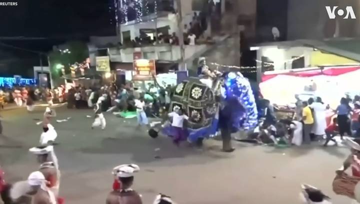 На Шри-Ланке во время праздника взбесившийся слон расшвырял людей
