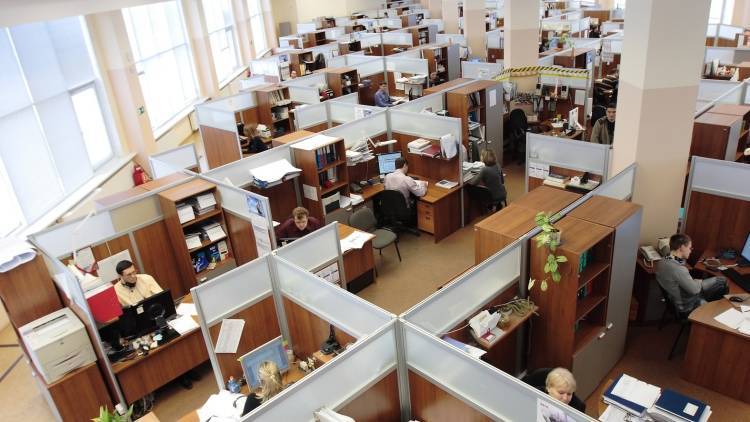 Эксперты назвали самые высокооплачиваемые вакансии в Петербурге