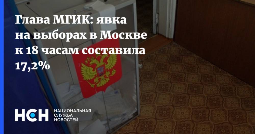 Глава МГИК: явка на выборах в Москве к 18 часам составила 17,2%