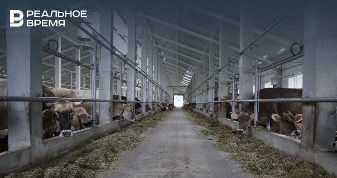 В Татарстане в молочное животноводство инвестируют 20 млрд рублей за 2 года