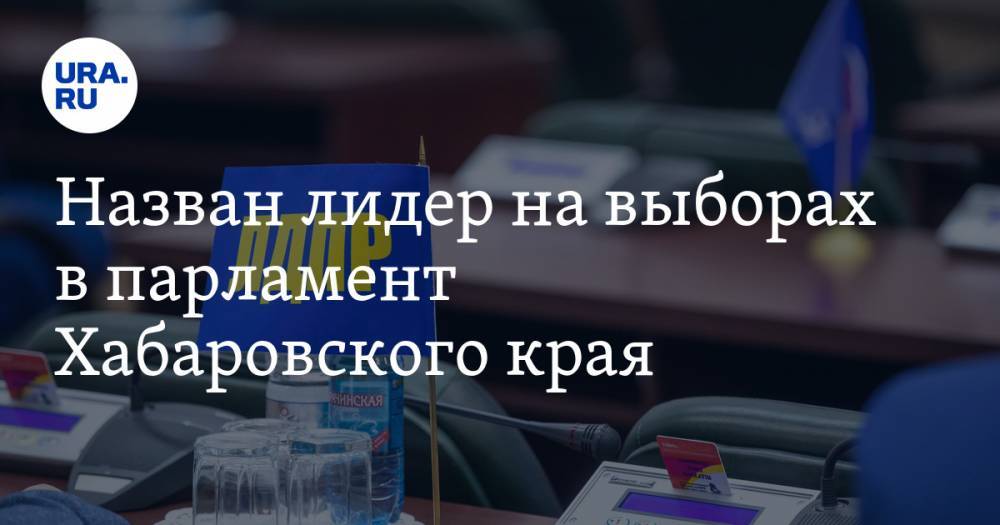 Назван лидер на выборах в парламент Хабаровского края