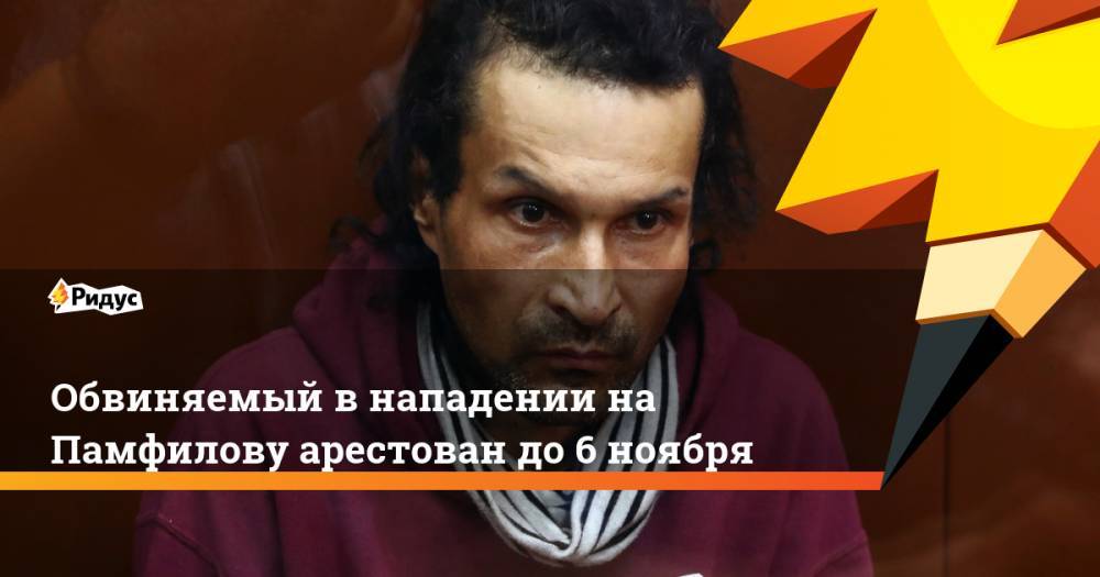 Обвиняемый в нападении на Памфилову арестован до 6 ноября