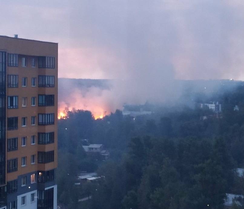 В Петербурге в лесопарке произошел крупный пожар