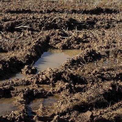 Режим ЧС введен в 9 районах Кировской области из-за переувлажнения почвы