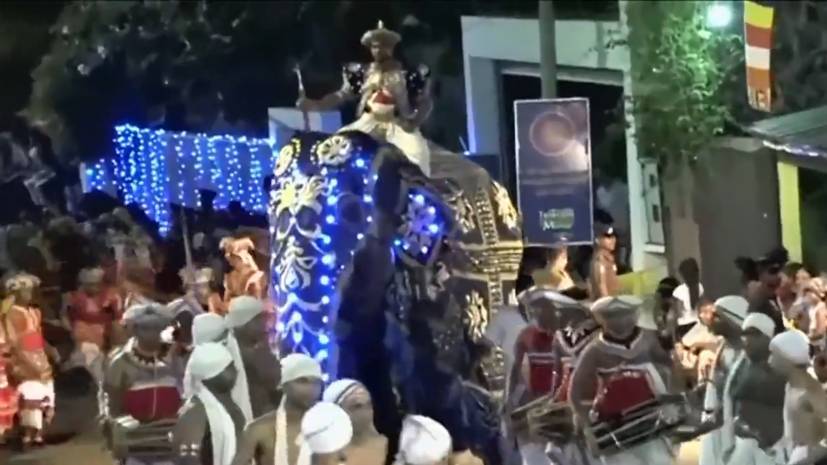 Два наряженных слона побежали на толпу во время буддистского фестиваля на Шри-Ланке