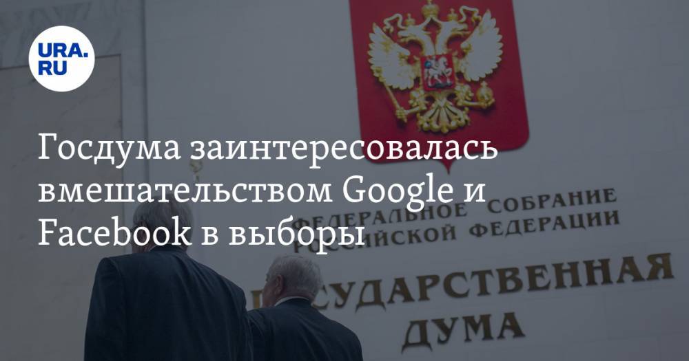 Госдума заинтересовалась вмешательством Google и Facebook в выборы
